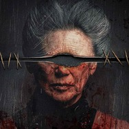 イビルアイ 3枚目の写真・画像