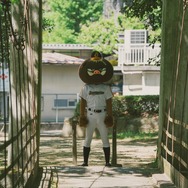 さよならエリュマントス 12枚目の写真・画像