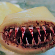 キラーコンドーム ディレクターズカット完全版 3枚目の写真・画像