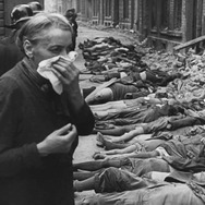 破壊の自然史 4枚目の写真・画像