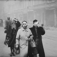 破壊の自然史 8枚目の写真・画像