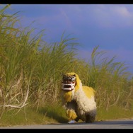 ウムイ 芸能の村 3枚目の写真・画像
