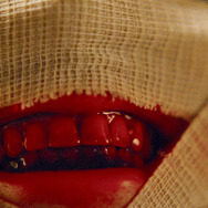 イビルアイ 10枚目の写真・画像