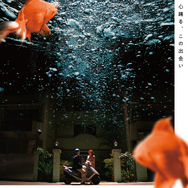 ママボーイ 1枚目の写真・画像