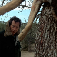 悪魔の追跡 4枚目の写真・画像