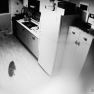 トンソン荘事件の記録 5枚目の写真・画像