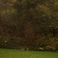 栗の森のものがたり 5枚目の写真・画像