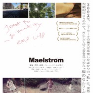 Maelstrom マエルストロム 1枚目の写真・画像