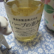 早く飲みたいワン！