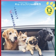 マイ・ハート・パピー 2枚目の写真・画像