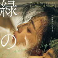 緑の夜 1枚目の写真・画像