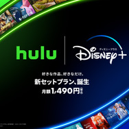 「Hulu | Disney+ セットプラン」