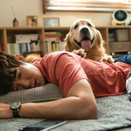 マイ・ハート・パピー 4枚目の写真・画像