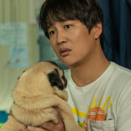 マイ・ハート・パピー 5枚目の写真・画像