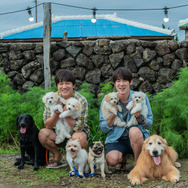 マイ・ハート・パピー 7枚目の写真・画像