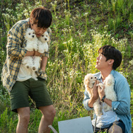 マイ・ハート・パピー 8枚目の写真・画像