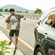 マイ・ハート・パピー 9枚目の写真・画像