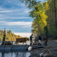 ファースト・カウ 5枚目の写真・画像