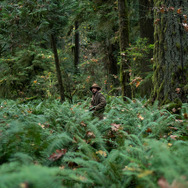 ファースト・カウ 10枚目の写真・画像