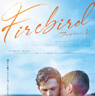 ファイアバード Firebird 1枚目の写真・画像