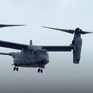 沖縄狂想曲 2枚目の写真・画像