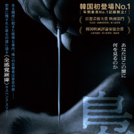 梟ーフクロウー 1枚目の写真・画像