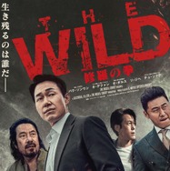 THE WILD 修羅の拳 1枚目の写真・画像
