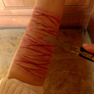 FPS 7枚目の写真・画像