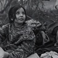 人間の境界 5枚目の写真・画像