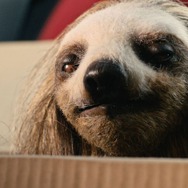 『キラー・ナマケモノ』©2023 Slotherhouse™ All rights reserved