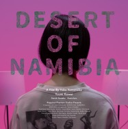 ナミビアの砂漠 3枚目の写真・画像