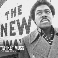 プリンス　ビューティフル・ストレンジ 24枚目の写真・画像