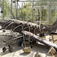 アンゼルム “傷ついた世界”の芸術家 17枚目の写真・画像