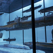 アンゼルム “傷ついた世界”の芸術家 18枚目の写真・画像