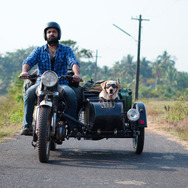 チャーリー 3枚目の写真・画像