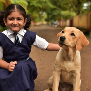 チャーリー 11枚目の写真・画像