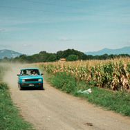 墓泥棒と失われた女神 14枚目の写真・画像