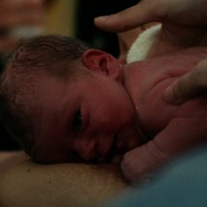 『助産師たちの夜が明ける』