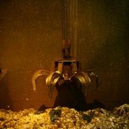 ゴミ屑と花 6枚目の写真・画像