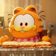 ねこのガーフィールド 8枚目の写真・画像