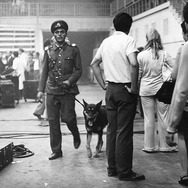 ブラッド･スウェット＆ティアーズに何が起こったのか？ 4枚目の写真・画像