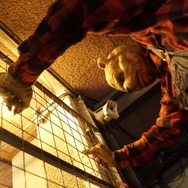 プー２  あくまのくまさんとじゃあくななかまたち 9枚目の写真・画像