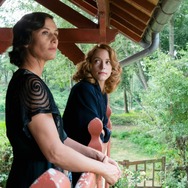 画家ボナール　ピエールとマルト 6枚目の写真・画像