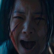 雉岳山（チアクサン） 7枚目の写真・画像