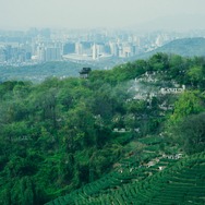 西湖畔（せいこはん）に生きる 15枚目の写真・画像