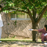 ルート29 5枚目の写真・画像