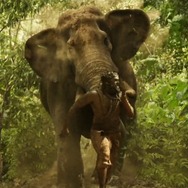 ジガルタンダ・ダブルX 15枚目の写真・画像