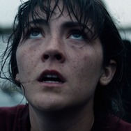 ノーヴィス 2枚目の写真・画像