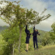ゴンドラ 4枚目の写真・画像