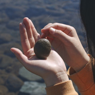 石がある 4枚目の写真・画像
